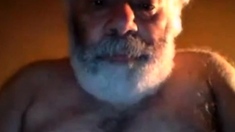 Hairy horny NY daddy bear jerks off on webcam