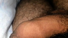 Process Erection Of My Cock In The Bed (22 Year Old)